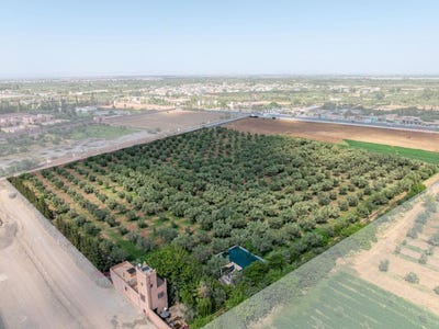 /international/ma/marrakesh-marrakesh-tensift-el-haouz-310102894196/