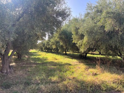 /international/ma/marrakech-marrakesh-safi-310107470295/