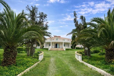 /international/ma/5-bedrooms-farm-in-benslimane-morocco-benslimane-tadla-azilal-310106999246/