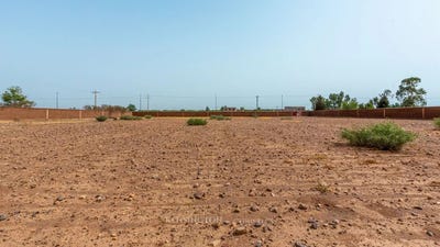 /international/ma/marrakesh-marrakesh-tensift-el-haouz-310107499799/