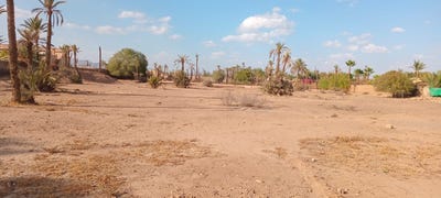 /international/ma/m359-w7f-marrakesh-morocco-marrakesh-marrakesh-tensift-el-haouz-310107411583/