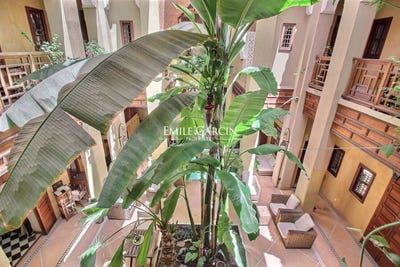 /international/ma/marrakesh-marrakesh-tensift-el-haouz-310108377322/