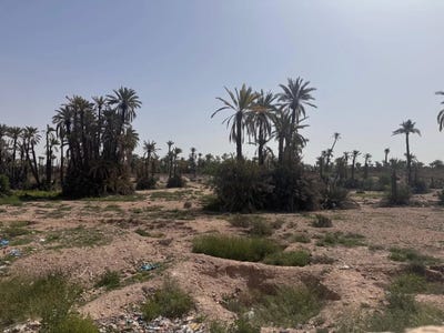 /international/ma/marrakech-marrakesh-safi-310107468310/