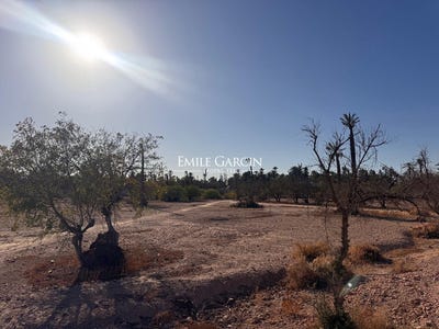 /international/ma/marrakesh-marrakesh-tensift-el-haouz-310103330044/