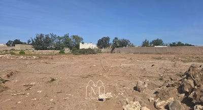 /international/ma/essaouira-marrakesh-tensift-el-haouz-310107008875/