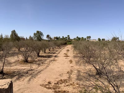 /international/ma/marrakech-marrakesh-safi-310107467679/