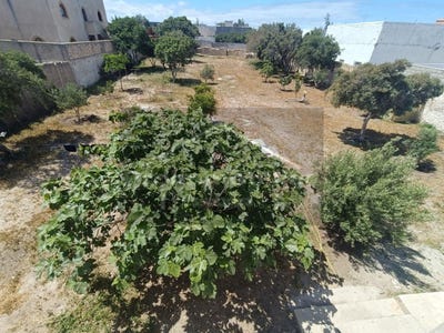 /international/ma/essaouira-marrakesh-tensift-el-haouz-310099501614/