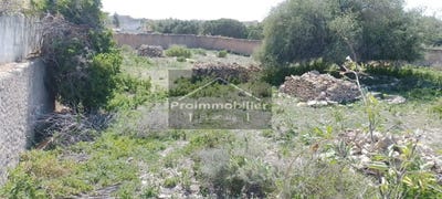 /international/ma/essaouira-marrakesh-tensift-el-haouz-120092132647/