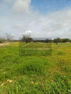 /international/ma/essaouira-marrakesh-tensift-el-haouz-310108291411/