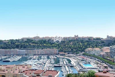 /international/mc/monaco-monaco-310100650072/