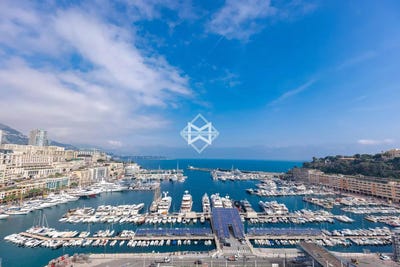 /international/mc/monaco-monaco-310100647236/