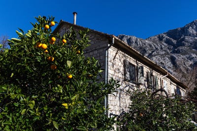 /international/me/dobrota-kotor-310104916621/