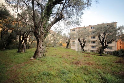 /international/me/plot-in-petrovac-petrovac-budva-310104831526/