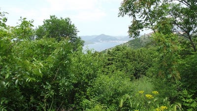 /international/me/land-in-tudorovici-budva-budva-310104833497/