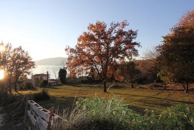/international/me/plot-in-kumbor-herceg-novi-herceg-novi-310104831486/?lang=zh-cn