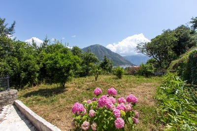 /international/me/kostanica-herceg-novi-municipality-310101106534/?lang=en