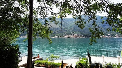 /international/me/dobrota-kotor-310101107471/?lang=en