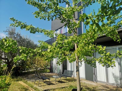 /international/me/seoca-budva-municipality-310100890219/