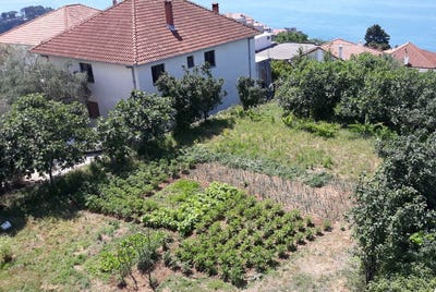 /international/me/plot-in-ulcinj-ulcinj-ulcinj-310104831707/