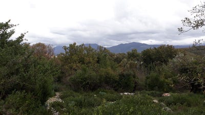 /international/me/tivat-tivat-310101183337/?lang=zh-tw