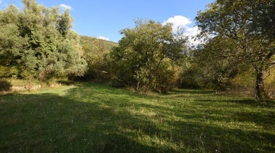 /international/me/kotor-kotor-310101185441/