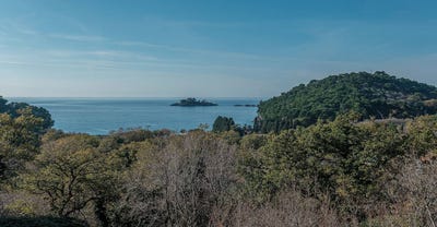 /international/me/budva-budva-310105988875/