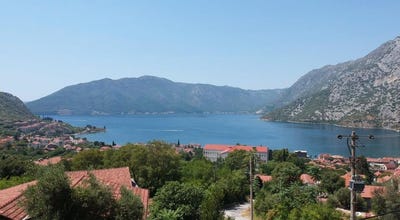 /international/me/risan-kotor-310106129844/