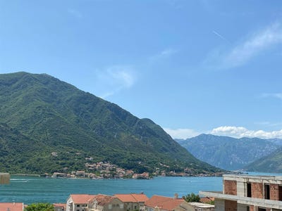 /international/me/kotor-kotor-310101336230/?lang=en