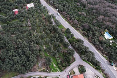 /international/me/abljak-zabljak-310106262948/