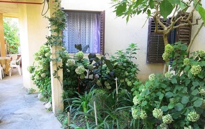 /international/me/rafailovici-budva-municipality-310100784419/?lang=zh-tw