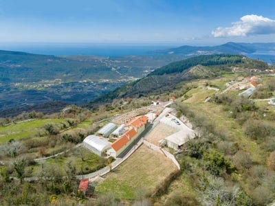 /international/me/mirac-kotor-municipality-310107534371/