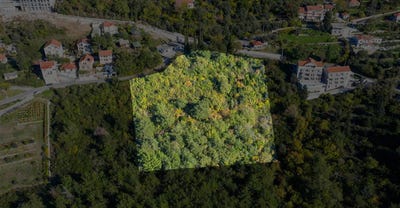 /international/me/kavac-kavac-kotor-municipality-310105987115/