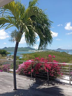 /international/mf/3v86-59f-les-terres-basses-97150-st-martin-les-terres-basses-collectivity-of-saint-martin-310108085601/