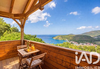 /international/mq/anses-d-arlet-le-marin-310107369814/