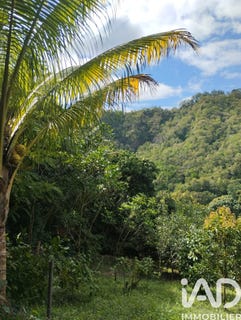 /international/mq/le-morne-vert-saint-pierre-310106392093/