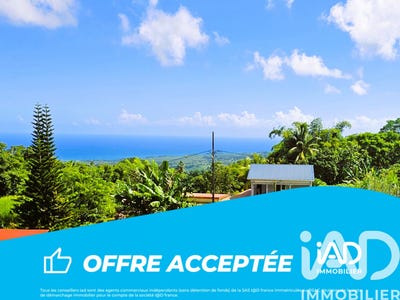 /international/mq/l-ajoupa-bouillon-la-trinite-310106398442/