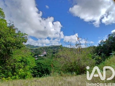 /international/mq/riviere-pilote-le-marin-310108725791/?lang=pt