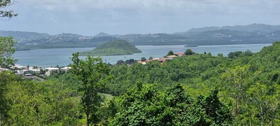 /international/mq/les-trois-ilets-martinique-310100647011/