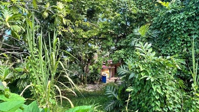 /international/mq/riviere-salee-le-marin-310108328698/?lang=pt