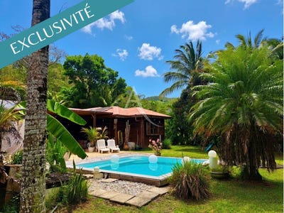 /international/mq/riviere-salee-le-marin-310108213520/