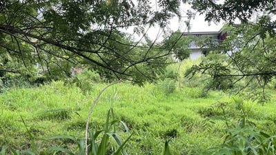 /international/mq/riviere-salee-le-marin-310101035553/?lang=zh-tw