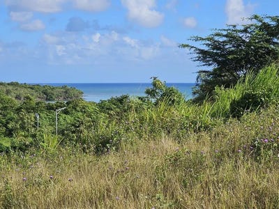 /international/mq/le-diamant-martinique-310099615593/
