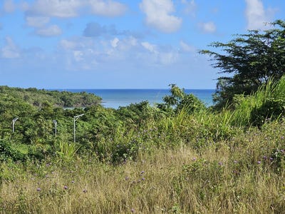/international/mq/le-diamant-martinique-310098902625/