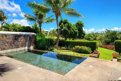 /international/mu/haute-rive-riviere-du-rempart-district-310108263451/