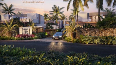 /international/mu/petite-riviere-noire-riviere-noire-district-310108563003/