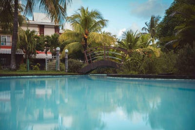 /international/mu/bain-boeuf-riviere-du-rempart-district-310100959596/?lang=pt