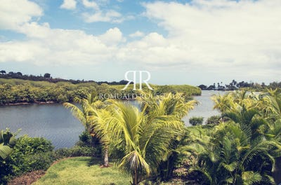 /international/mu/riviere-noire-black-river-310108990608/?lang=de