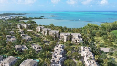 /international/mu/haute-rive-riviere-du-rempart-district-310108562845/