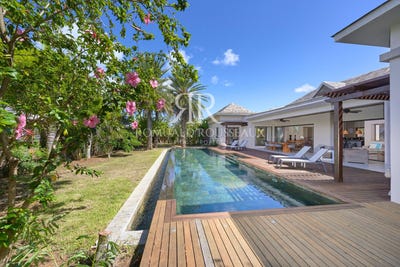 /international/mu/grand-baie-riviere-du-rempart-310109075322/