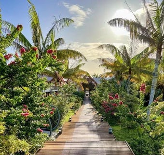 /international/mu/grand-baie-riviere-du-rempart-310107069533/